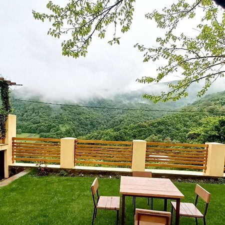 Dilivita Rest House ディリジャン エクステリア 写真